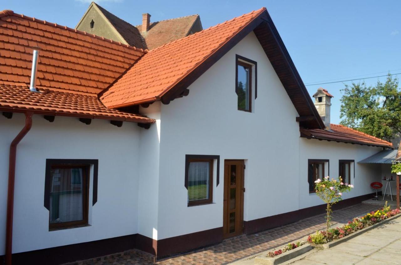 Vik. Apartment Sighișoara Zewnętrze zdjęcie