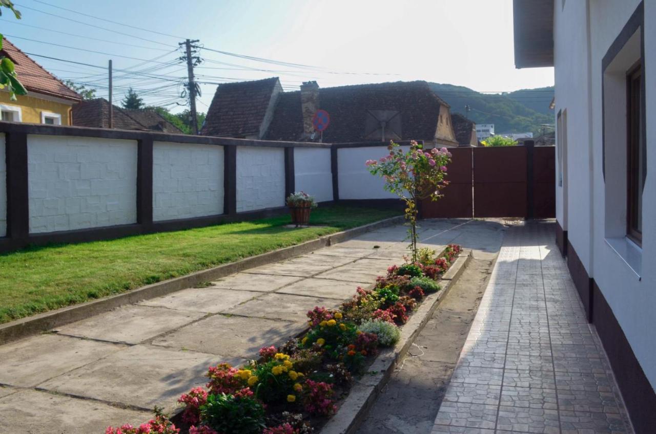 Vik. Apartment Sighișoara Zewnętrze zdjęcie