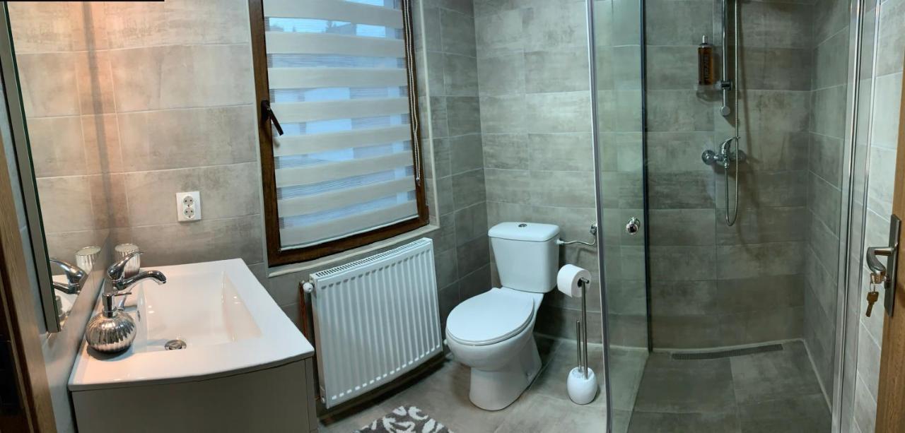 Vik. Apartment Sighișoara Zewnętrze zdjęcie