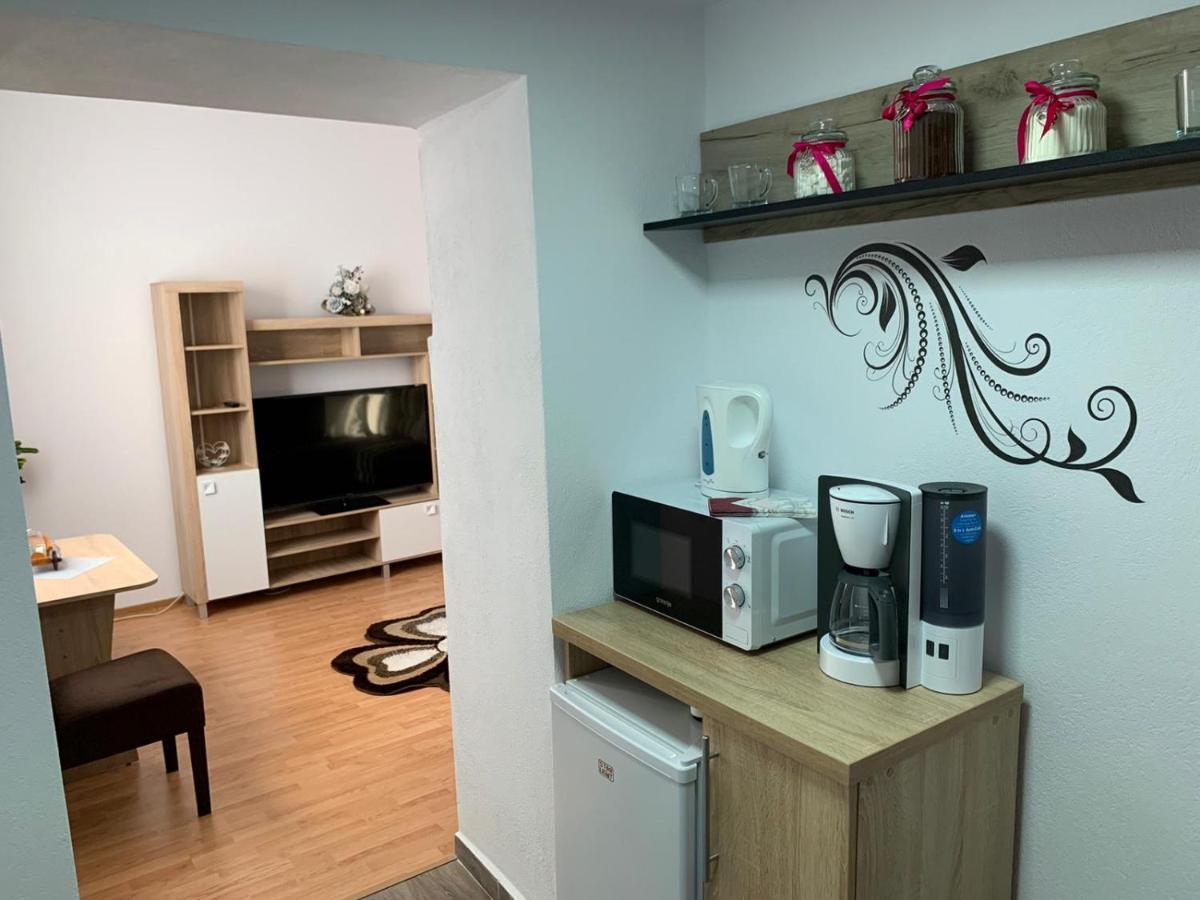 Vik. Apartment Sighișoara Zewnętrze zdjęcie