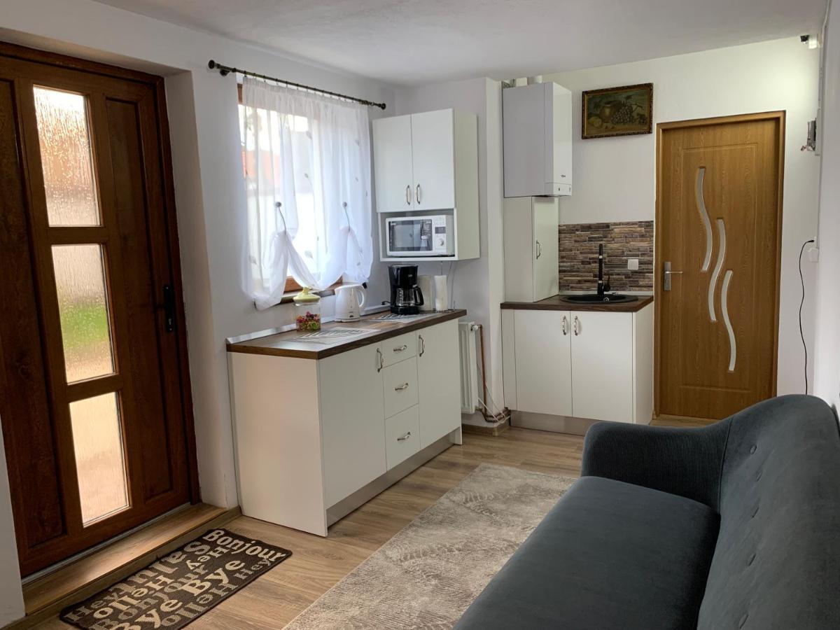 Vik. Apartment Sighișoara Zewnętrze zdjęcie